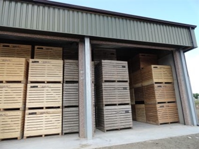 Hoevepootgoed telen in 2025