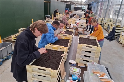 Samenzaai biobloemen: een fleurige en kleurrijke toekomst die groeit in onze serres