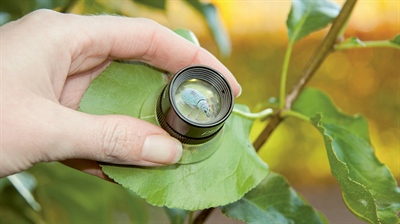 Voorbeeld waarschuwing sierteelt en groenvoorziening