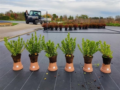 ALTER-PEAT zoekt duurzame veenalternatieven