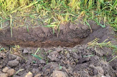 Lage pH op je groenteperceel? Wij komen bekalken!