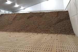 Kieming in de bewaarloods verder toegenomen