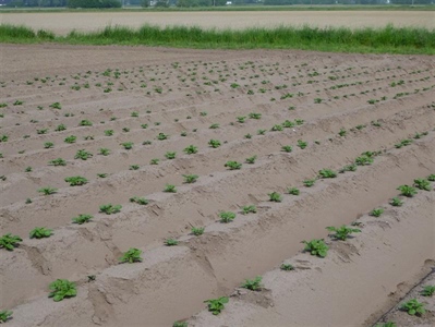 Historisch droog in maart en april