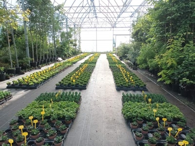 Nieuwe erkenning voor Luna Sensation