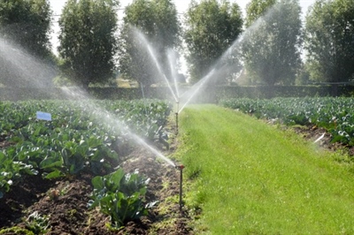 Uitzonderlijke droogte vraagt om gerichte beregening