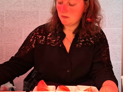 Proevers gezocht voor ons smaakonderzoek