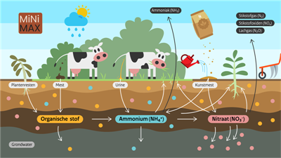 MiNiMax: stikstofmineralisatie 2025