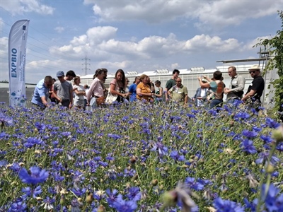 Terugblik op Demonamiddag zaadteelt wilde planten