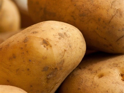 Vlaams aardappelareaal breidt verder uit