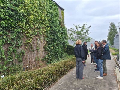 Evergreen-project biedt inzichten in monitoring van gevelgroen