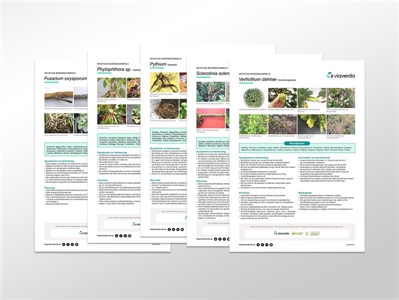 Infofiches bodemschimmels bij biologische snijbloemen