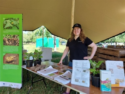 Promotie van yacon op gezinsevenement Agricultura
