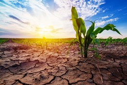 Opgelet! Vanaf vrijdag 4 juli extra beperkingen op het gebruik van oppervlaktewater in Oost-Vlaanderen