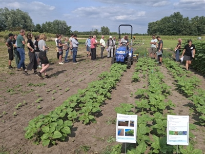 Duurzame teelt van biobloemen in de kijker op proefveldbezoek