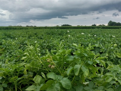 Eerste staalname Fontane