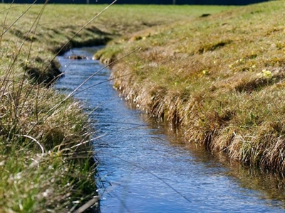 Opgelet! Vanaf donderdag 21 augustus extra beperkingen op het gebruik van oppervlaktewater in Oost-Vlaanderen
