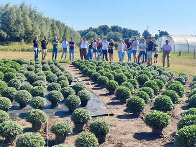 Terugblik demomoment droogtemitigerende maatregelen in de openluchtsierteelt