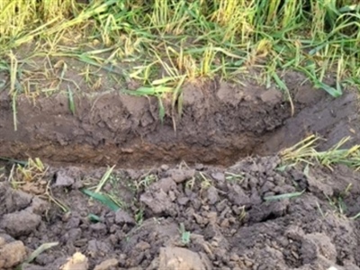 Help ons het bodembeheer in kaart te brengen en win een bodemanalyse ter waarde van 130 euro