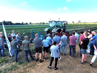 Veel interesse voor proefveldbezoek bataat