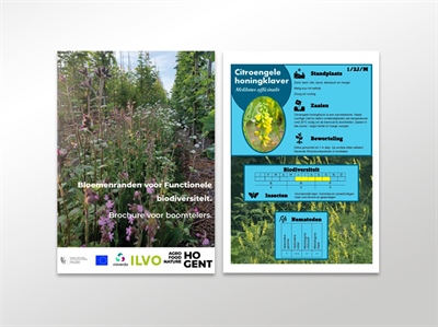 Brochure Bloemenranden voor functionele biodiversiteit