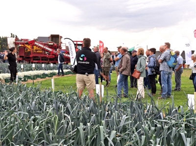 Groenteplatform schittert weer op de Werktuigendagen in Oudenaarde