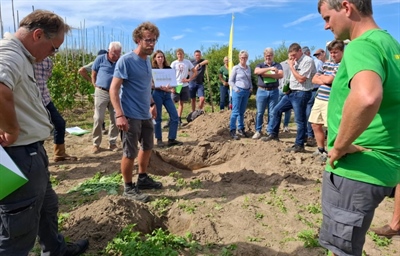 Succesvolle bezoekdag op demoplatform bos- en sierboomkwekerij in Wetteren