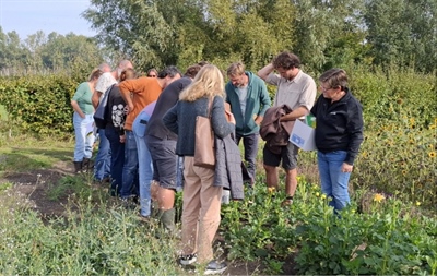Functionele agrobiodiversiteit als sleutel tot duurzame plaagbeheersing