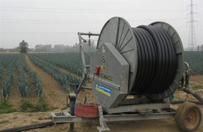 Prei ziet nog altijd af van de droogte