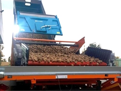 Vlotte oogst brengt veel aardappelen in de schuur