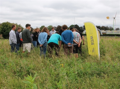Een levende bodem als fundament van de boomkwekerij