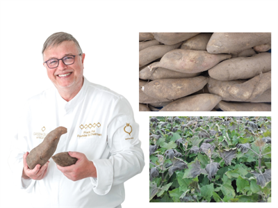 Yacon in de kijker: Frank Fol tovert met deze vergeten knol in de groentekeuken