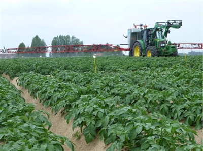 Minder bespuitingen dankzij waarschuwingssysteem en resistente rassen