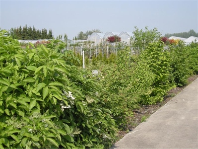 Erkenning Oblix 500 SC en uitbreiding erkenning Teppeki