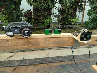 Vroegtijdige detectie van droogtestress in Living Wall Systems