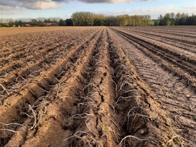 Bereid om te produceren met verlies?