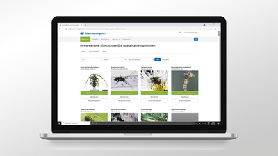 Webplatform voor quarantaine organismen