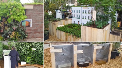 Overzicht ecosysteemdiensten stedelijk groen