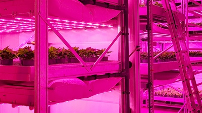 Kenniscentrum Meerlagenteelt, schakel een niveau hoger met vertical farming