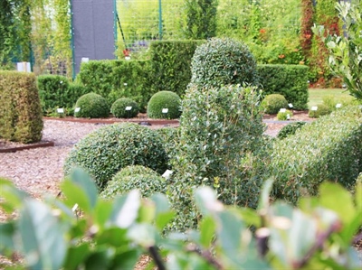 Alternatief assortiment voor groenvormen