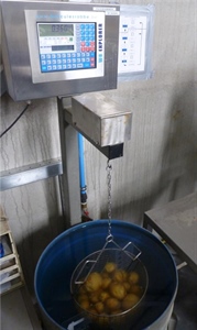 OWG en loofdoding seizoen 2023