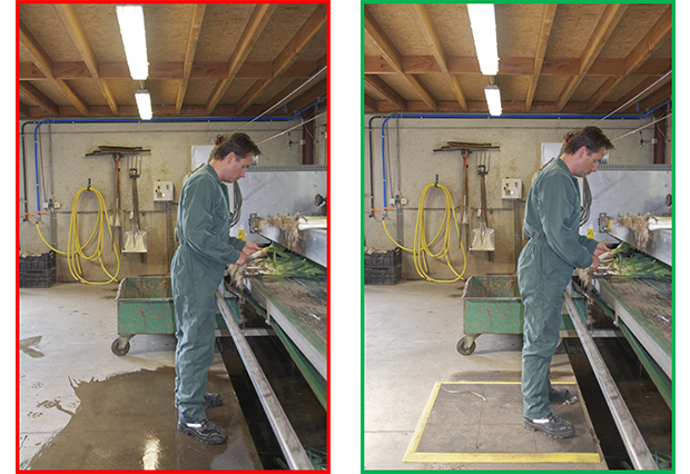 Ergonomie in de preiteelt