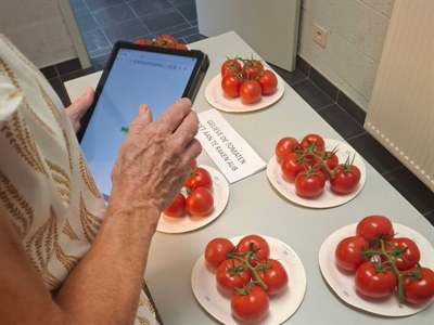 Smaak- en consumentenonderzoek