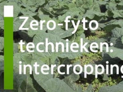 Videoreeks over plaagbeheersingsmethoden zonder (bio)pesticiden