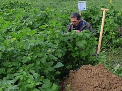 Presentaties Groenbemestersevent (deel 1) 2021