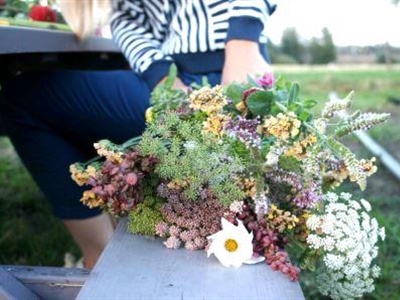 Resultaten enquête “Geef ons jouw mening over biologische bloemen”