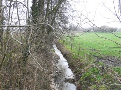 Rapportering CVBB (deel 5): Intensieve aanpak