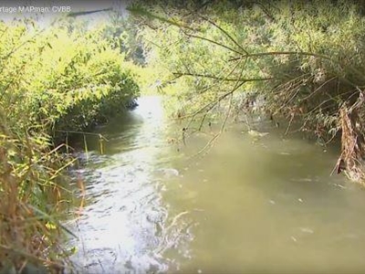 Rapportering CVBB (deel 4): Communicatie