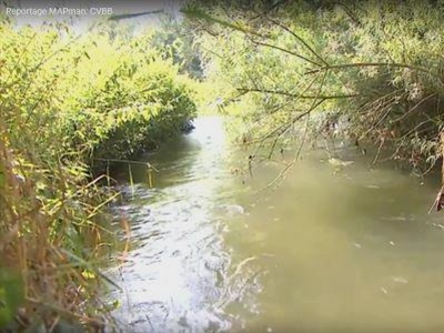 Rapportering CVBB (deel 4): Communicatie