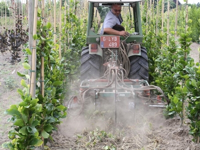 Reportage: Bomen hoeven echt geen 100 ton stalmest