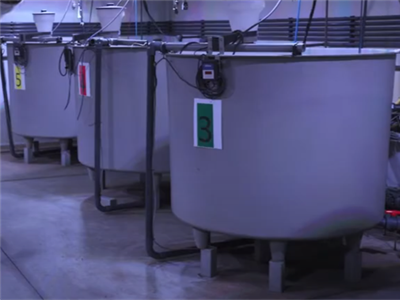 Smart Aquaponics - Slimme tools voor de ontwikkeling van aquaponics